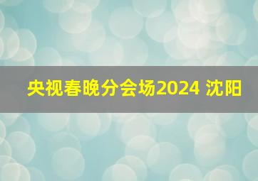 央视春晚分会场2024 沈阳